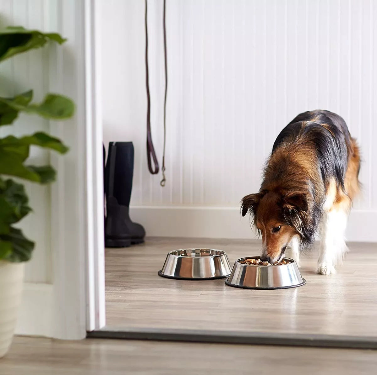 Plato de Acero Inoxidable para Perros y Gatos Antigolpes y Antifugas