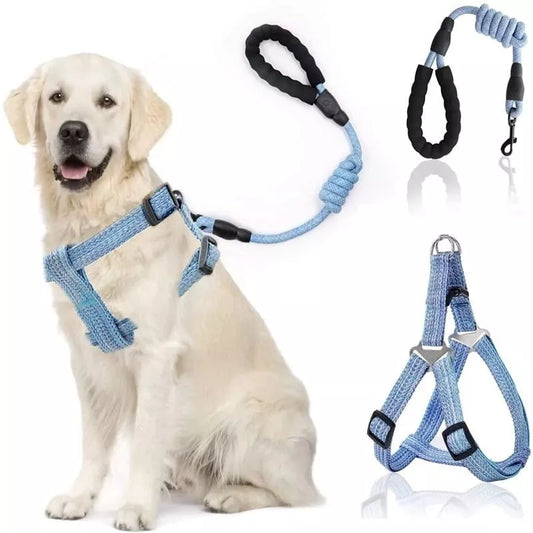 Arnes Pechera Transpirable + Correa Mascotas Perro Grande L